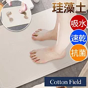 棉花田【平原】日本超人氣珪藻土吸水抗菌浴墊(39x60cm)