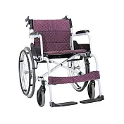 康揚 手動輪椅(未滅菌) 飛揚105