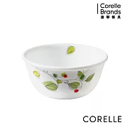 【美國康寧 CORELLE】綠野微風450ml中式碗(426)