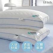 義大利 La Belle《立體車邊舖棉天絲輕柔舒眠枕》二入