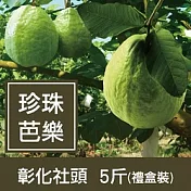 一籃子彰化社頭【珍珠芭樂】5斤禮盒裝