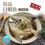 【優鮮配】頂級現撈一本釣野生白鯧魚(500g±10%/尾)