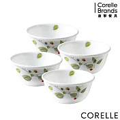 【美國康寧 CORELLE】綠野微風4件式餐碗組 (D01)