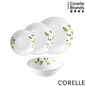 【美國康寧 CORELLE】綠野微風4件式餐盤組 (D02)