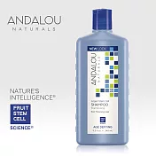 【ANDALOU安德魯】摩洛哥堅果健髮洗髮精 340ml