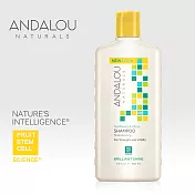 【ANDALOU安德魯】柑橘葵花潔淨洗髮精 340ml