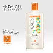 【ANDALOU安德魯】 甜橙堅果保濕護髮乳 340ml
