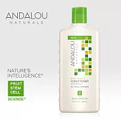 【ANDALOU安德魯】 瑪乳拉果油柔順護髮乳 340ml