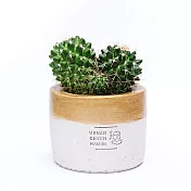 URBAN GREEN MAKERS圓型清水模盆器 / 金