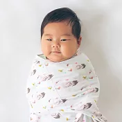 Nuroo 三階段成長包巾-粉紅天鵝(設計師款)