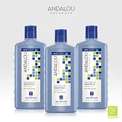 【ANDALOU安德魯】摩洛哥堅果健髮洗髮精 340mlx3