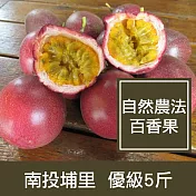 【一籃子】產地直送南投埔里【自然農法百香果】優級5斤