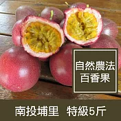 【一籃子】產地直送南投埔里【自然農法百香果】特級5斤