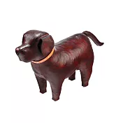 Omersa Labrador 拉布拉多犬(中)