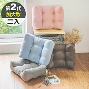 Peachy Life 第二代激厚質感加寬加大版靠腰衴/舒壓枕(2入組)(4色可選)藍色