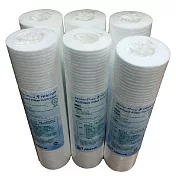 NSF認證5微米PP棉質濾芯(6入裝)
