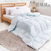 《DUYAN 竹漾》台灣製100% 天然保暖水鳥羽絲絨被(水藍色)