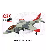 【4D MASTER】立體拼組模型戰鬥機系列-AV-8B SALTY DOG 60025C