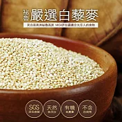 【築地一番鮮】祕魯白藜麥(325±5克/罐)