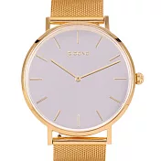 【PICONO】Mirror T鏡面快拆式不鏽鋼網帶手錶 /FX-7104