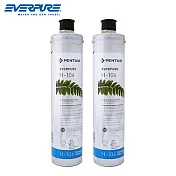 【美國EVERPURE】原裝進口 H104 家用除鉛抑垢型濾心 H-104(2入組)