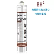 【美國EVERPURE】原裝進口 BH2 家用抑垢長效型濾心(全新進口濾心)