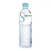 台塩小分子海洋活水620ml