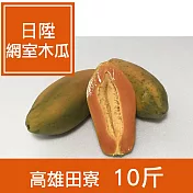 【一籃子】高雄田寮【日陞網室木瓜】