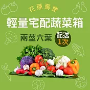 【鮮食優多】花蓮壽豐•花蓮有機蔬菜箱『輕量套餐』-2根莖+6葉菜