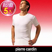 【Pierre Cardin皮爾卡登】新機能吸汗透氣圓領短袖衫- (5入組)XL白色