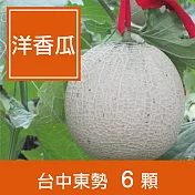 【一籃子】台中東勢【藍寶石洋香瓜】6顆裝