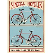 美國 Cavallini & Co. wrap 包裝紙/海報  兩台腳踏車