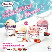哈根達斯-白桃仲夏水果品脫4入組(白桃覆盆子/草莓/仲夏野莓/蘭姆葡萄)