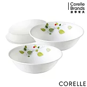 【美國康寧 CORELLE】1000ml大湯碗2件組-加贈微波蓋X1 (BA)-多花色可選 綠野微風