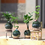 【迎光】2018萌寵動物綠苔球-二入組合