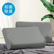澳洲Simple Living 抑菌活性碳慢回彈零壓工學記憶枕-二入(台灣製)