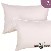 【遊遍天下】臺灣製舒眠羽毛絨枕(二入)白色