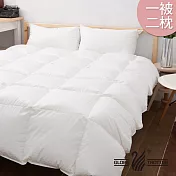 【遊遍天下】台灣製天然水鳥羽毛絨被枕超值組( 一被兩枕)白色