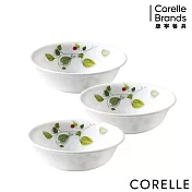 【美國康寧 CORELLE】 500ml湯碗3件組- 綠野微風