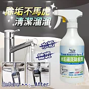 ALL NEW統新 2入組水垢鏽斑除痕劑-500ML