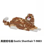【Tico 微型積木】T-9803 異國短毛貓 Exotic Shorthair