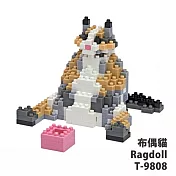 【Tico 微型積木】T-9808 寵物貓系列-布偶貓 Ragdoll