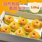 ★甜度高達12度!脆甜多汁！【樂品食尚】送禮首選!!台中新社高接梨(水梨)手提式禮盒3.6kg/盒(免運宅配)