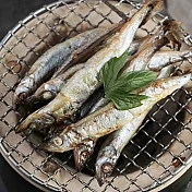 永豐餘生技GREEN&SAFE-船凍柳葉魚