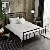 義大利La Belle《日本原棉輕絲被》--雙人