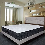 【Albert 艾柏】艾柏 防蹣抗菌5尺雙人獨立筒床墊(5x6.2尺)