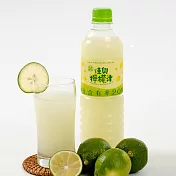【花蓮佳興冰果室】檸檬汁12瓶(600ml/瓶)