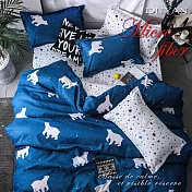 《DUYAN 竹漾》台灣製天絲絨雙人床包被套四件組-極地星願