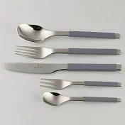 Villeroy & Boch唯寶 S+ 不鏽鋼餐具五件組 薰衣草
