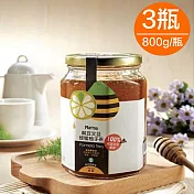 無添加果糖、無添加高果糖!!【樂品食尚】本產麻豆文旦蜂蜜柚子茶800g/瓶x3瓶(裸裝瓶)(免運宅配)